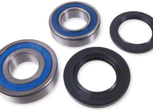 Prox Rear Wheel Bearing