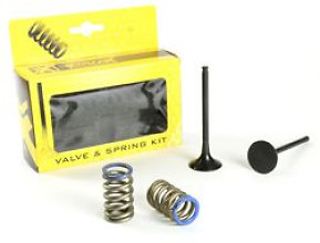 Prox Exhaust Conv. Valve Set