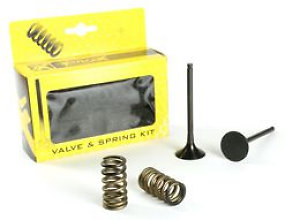 Prox Exhaust Conv. Valve Set