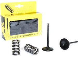 Prox Intake Conv. Valve Set