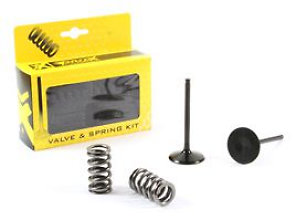 Prox Intake Conv. Valve Set