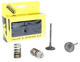 Prox Intake Conv. Valve Set