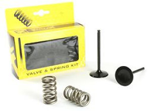 Prox Intake Conv. Valve Set