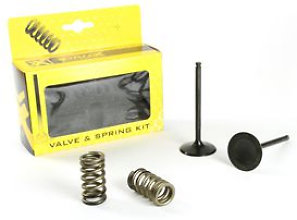 Prox Intake Conv. Valve Set