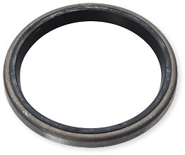 Prox Crankshaft Oil Seal