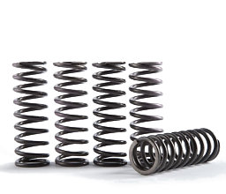 Hinson Clutch Spring Kit
