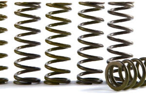 Hinson Clutch Spring Kit