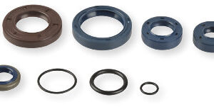 Athena Oil Seal Kit