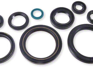 Athena Engine Oil Seal Kit