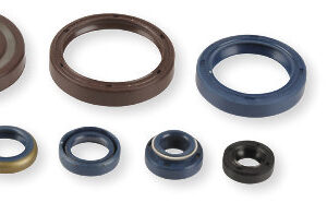 Athena Oil Seal Kit