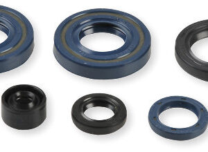 Athena Oil Seal Kit