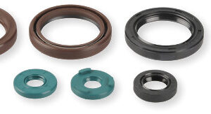 Athena Oil Seal Kit