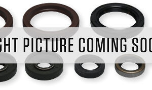 Athena Oil Seal Kit