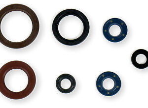 Athena Oil Seal Kit