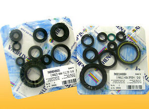 Athena Oil Seal Kit