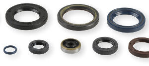 Athena Oil Seal Kit