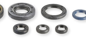 Athena Oil Seal Kit