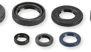 Athena Oil Seal Kit