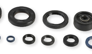 Athena Oil Seal Kit