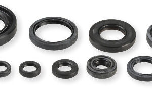 Athena Oil Seal Kit