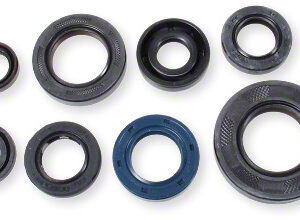 Athena Oil Seal Kit