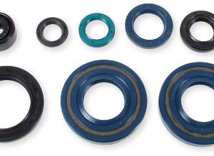 Athena Oil Seal Kit