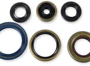 Athena Oil Seal Kit