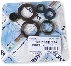 Athena Oil Seal Kit
