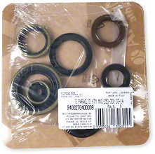 Athena Oil Seal Kit