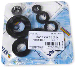 Athena Oil Seal Kit