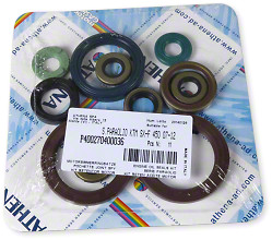 Athena Oil Seal Kit