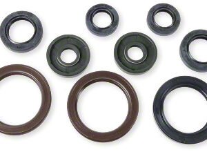 Athena Oil Seal Kit
