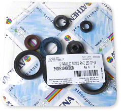 Athena Oil Seal Kit