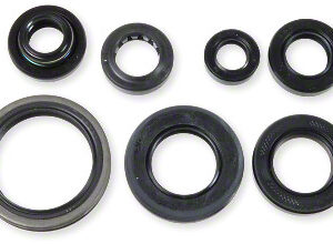 Athena Oil Seal Kit