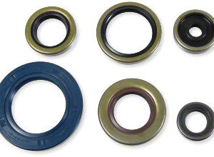 Athena Oil Seal Kit