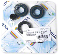 Athena Oil Seal Kit