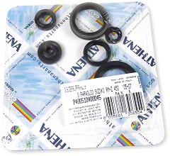 Athena Oil Seal Kit