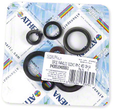 Athena Oil Seal Kit