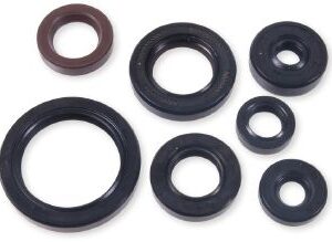 Athena Oil Seal Kit