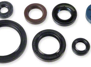 Athena Oil Seal Kit
