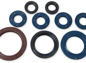 Athena Oil Seal Kit