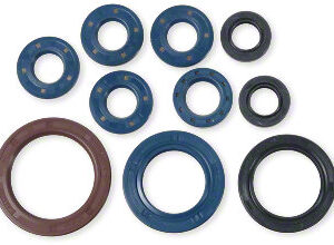 Athena Oil Seal Kit