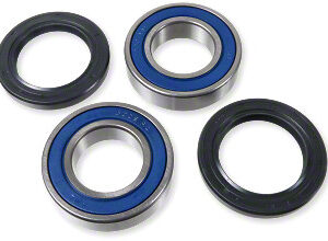 Prox Rear Wheel Bearing