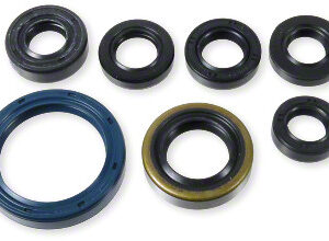 Athena Oil Seal Kit