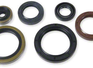 Athena Oil Seal Kit