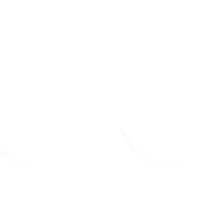 ATHENA FORK SEAL RSD2 30X40X8/9