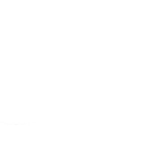 ATHENA FORK SEAL RSD2 33X45X8/10.5