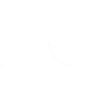 ATHENA FORK SEAL RSD2 36X46X7/9