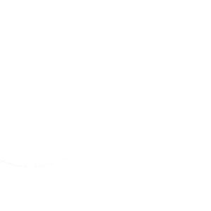 ATHENA FORK SEAL RSD2 35X47X7/9