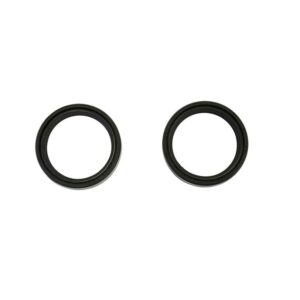 ATHENA FORK SEAL 42X54X11